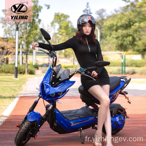 Off Road Citycoco Scooter Electric Motorcycle 2000W